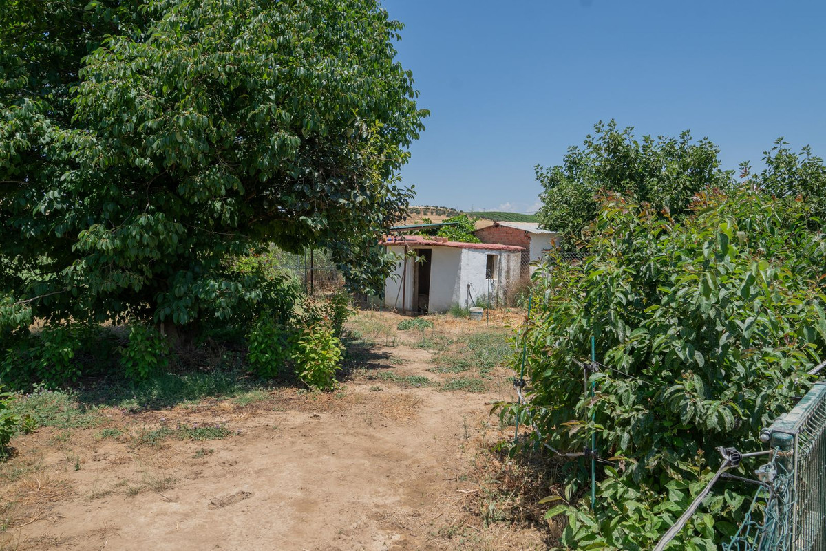 Property main view 17