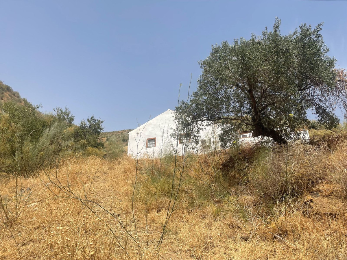 Property main view 20