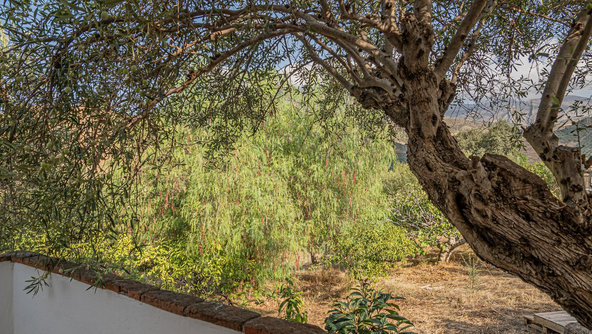 Property main view 39