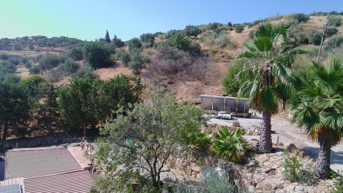 Property main view 54