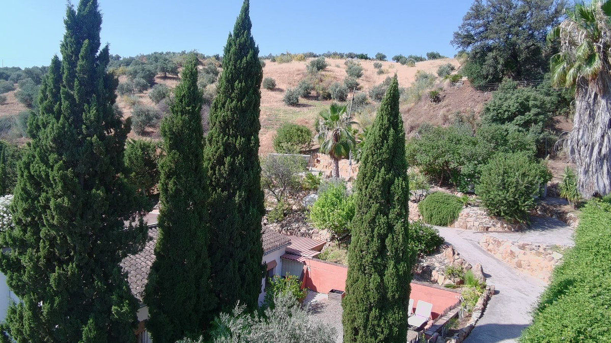 Property main view 56