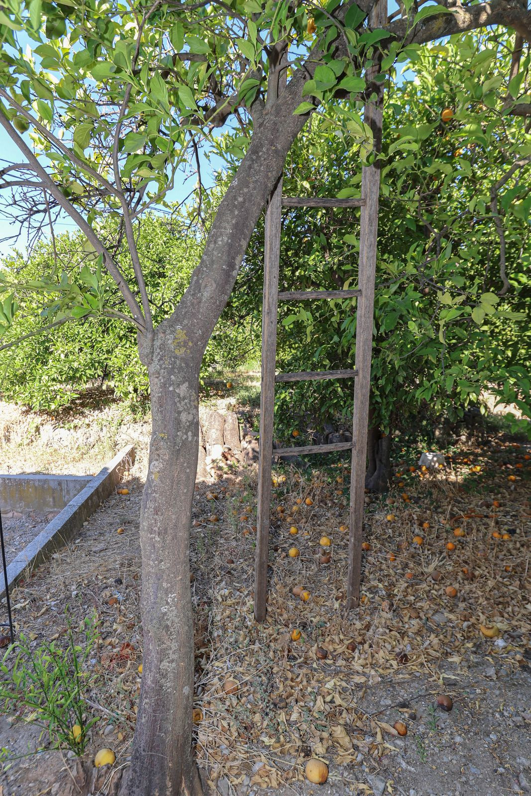 Huis te koop in Alozaina | 3 slaapkamers H4117033