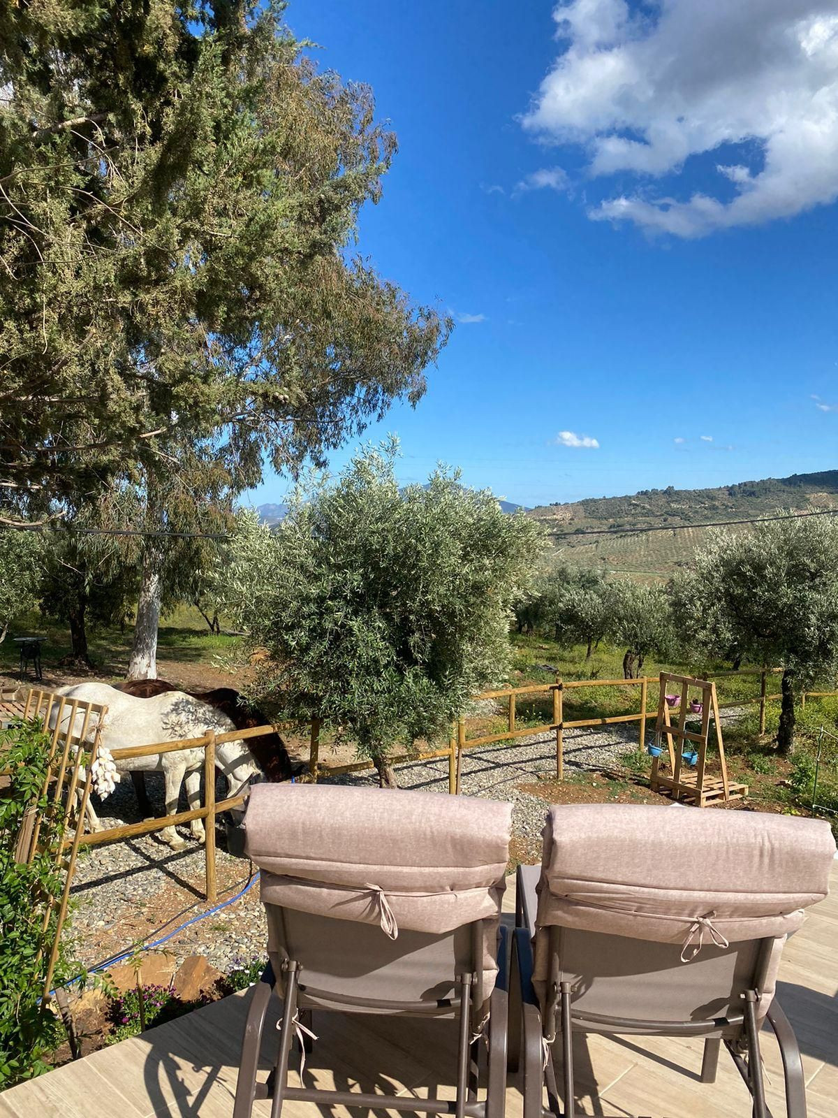 Finca - Cortijo te koop in Alozaina | 5 slaapkamers H5063392