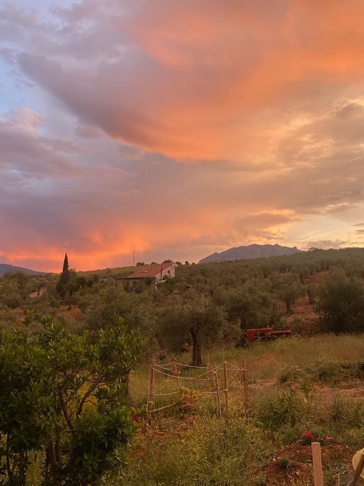 Finca - Cortijo te koop in Alozaina | 5 slaapkamers H5063392