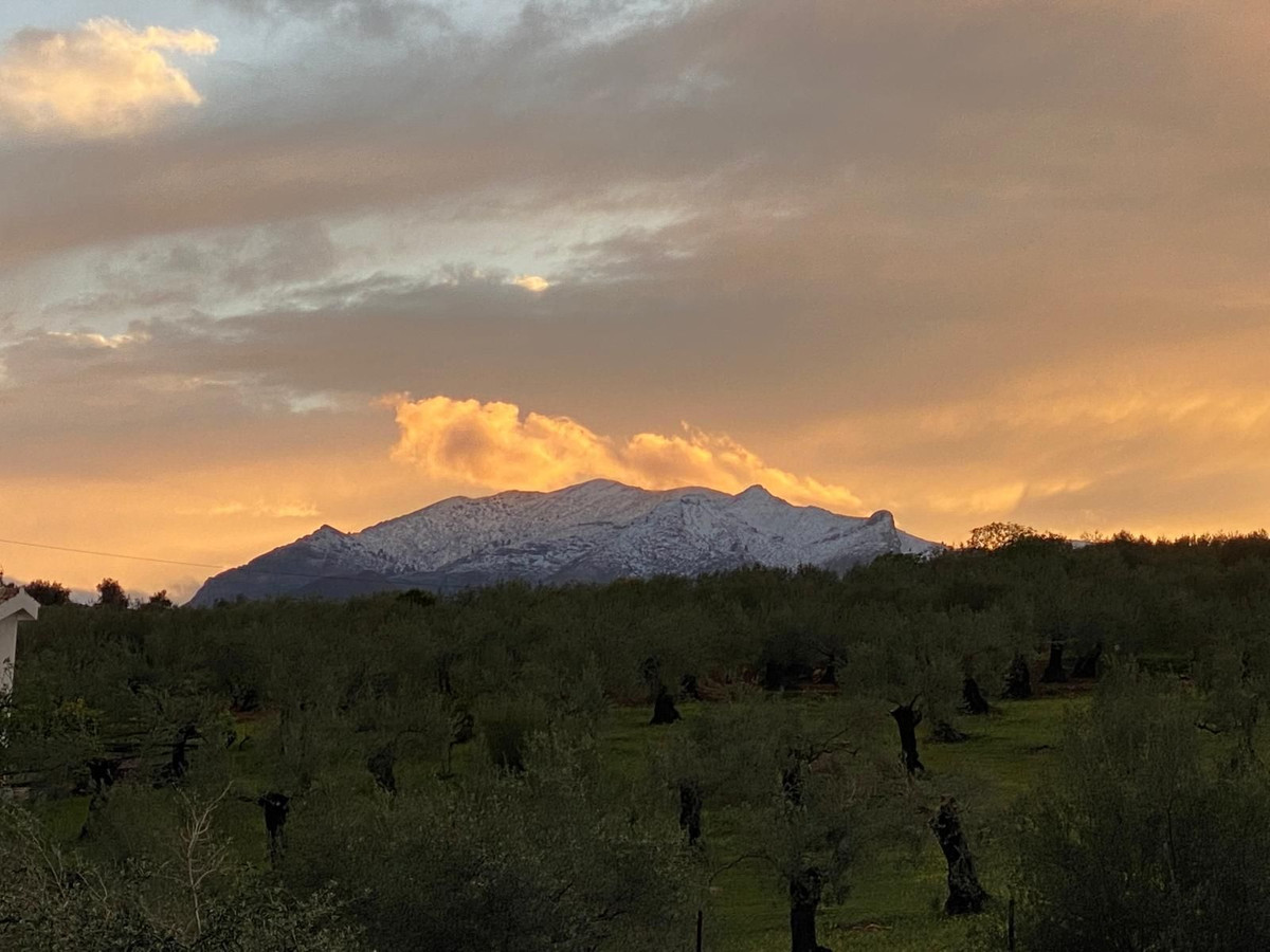 Finca - Cortijo te koop in Alozaina | 5 slaapkamers H5063392