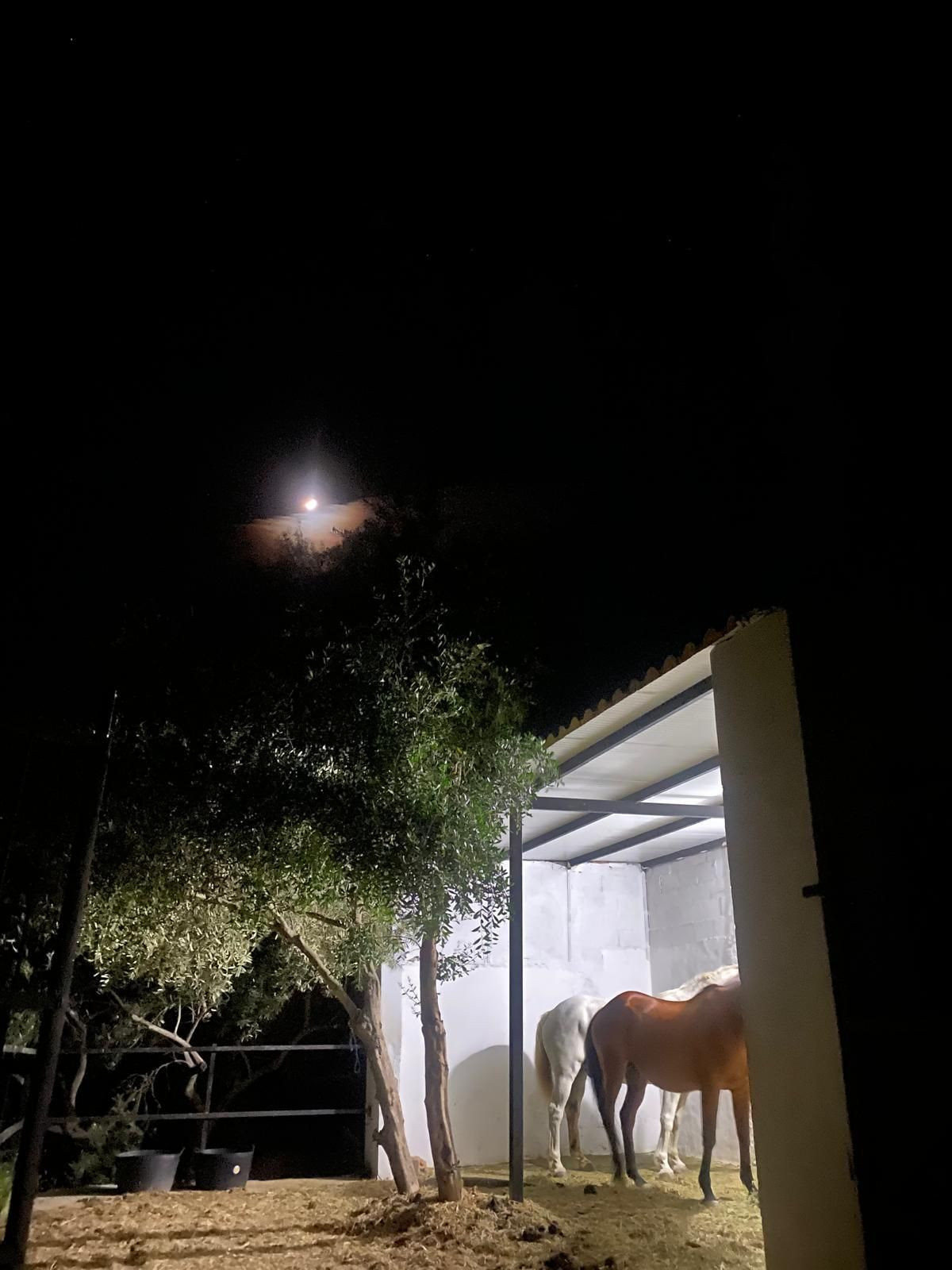 Finca - Cortijo te koop in Alozaina | 5 slaapkamers H5063392