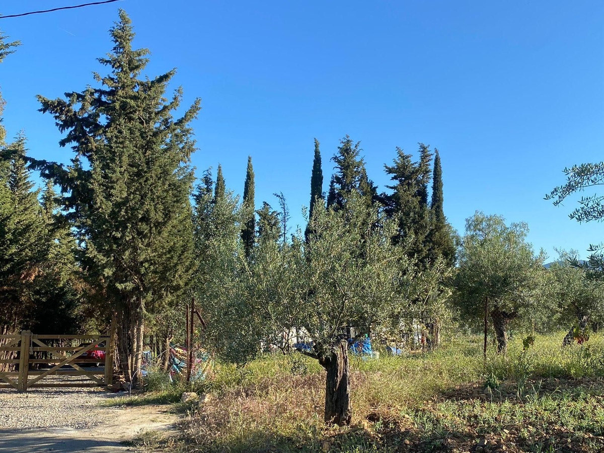 Finca - Cortijo te koop in Alozaina | 5 slaapkamers H5063392