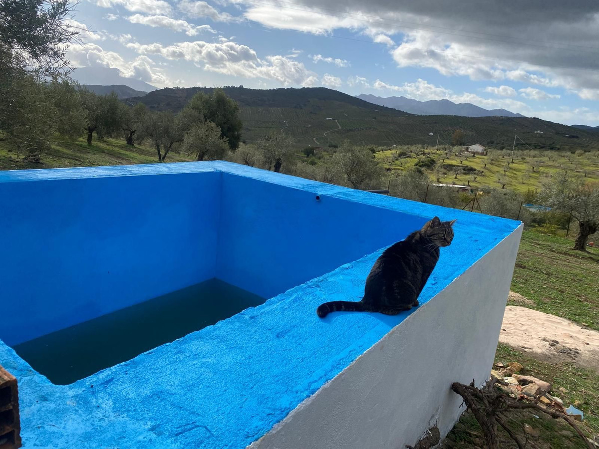 Finca - Cortijo te koop in Alozaina | 5 slaapkamers H5063392
