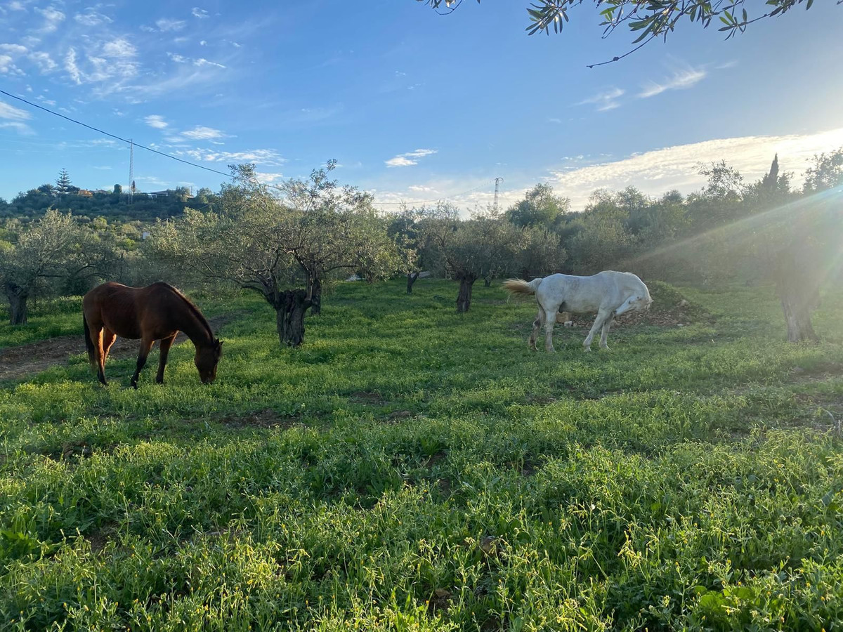 Finca - Cortijo te koop in Alozaina | 5 slaapkamers H5063392