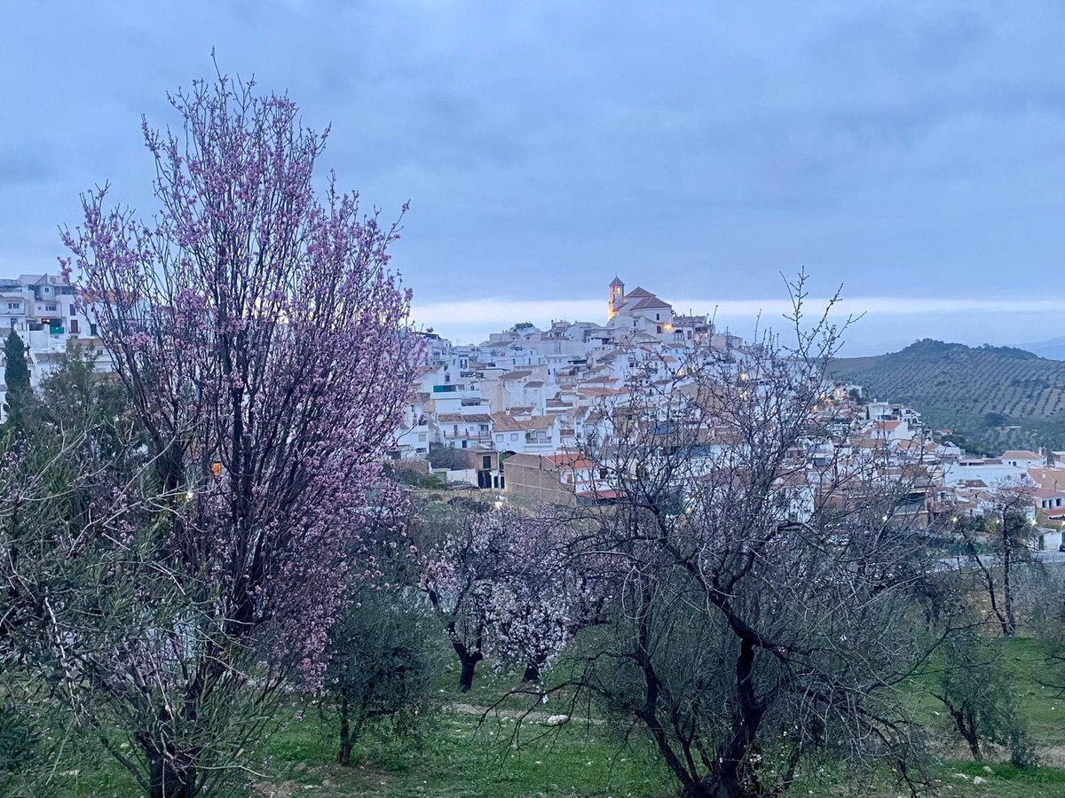 Finca - Cortijo te koop in Alozaina | 5 slaapkamers H5063392