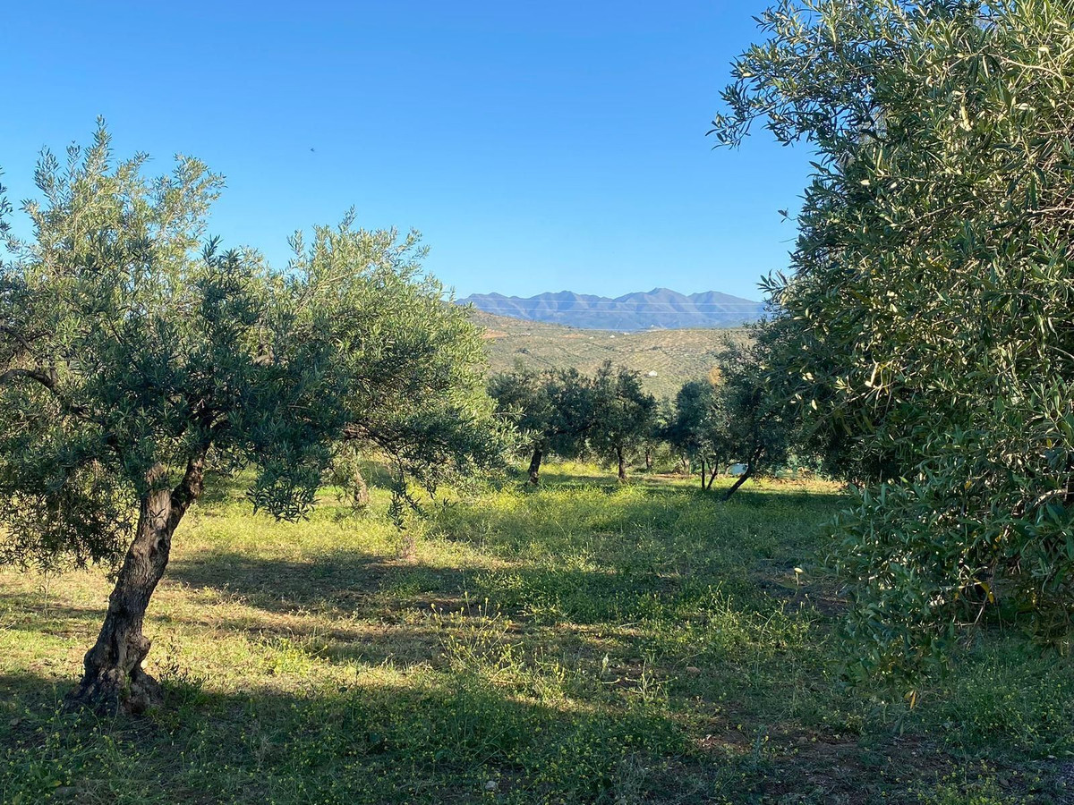Finca - Cortijo te koop in Alozaina | 5 slaapkamers H5063392
