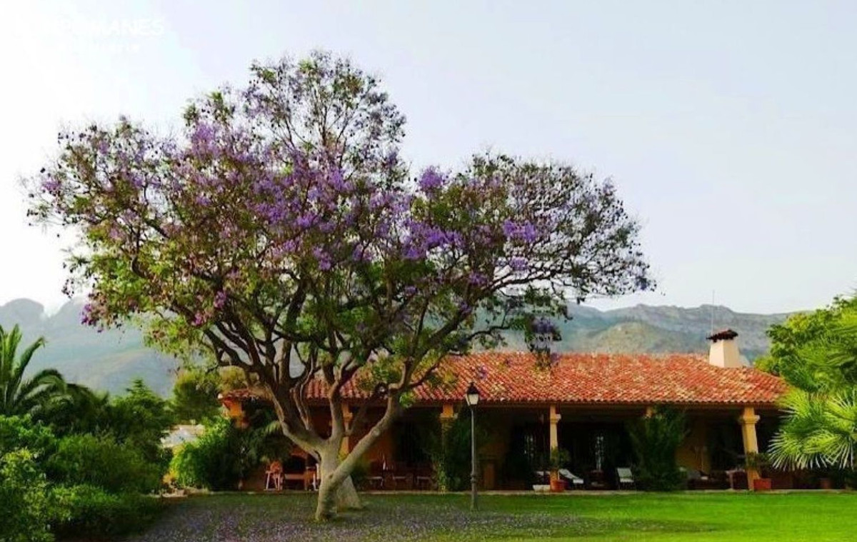 Property main view 24