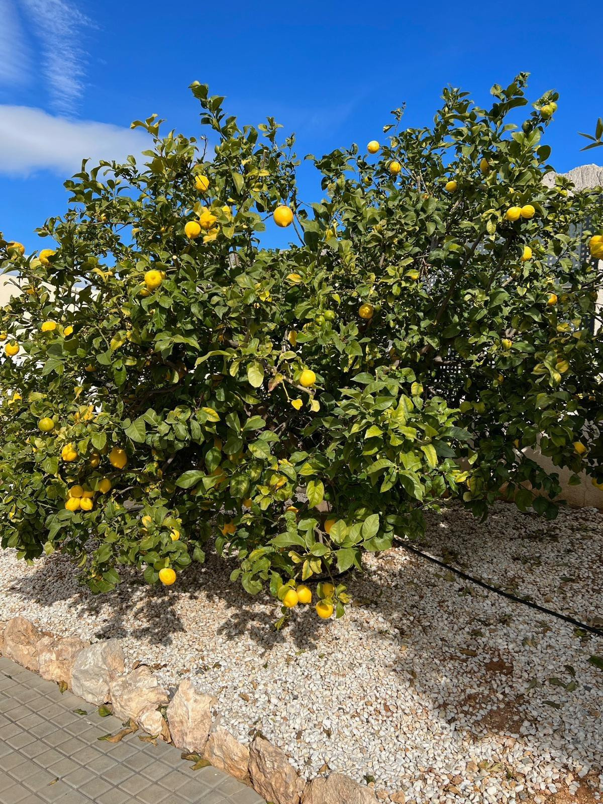 Vrijstaande Villa te koop in Altea | 5 slaapkamers H5385895