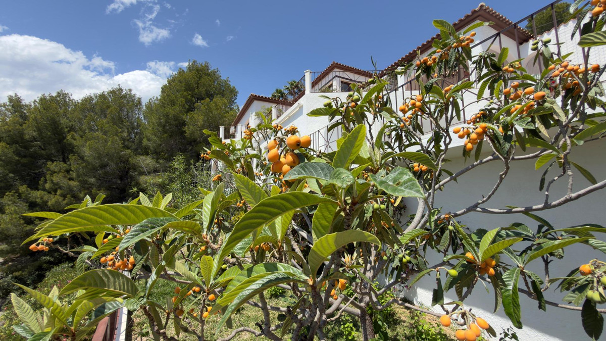 Bungalow te koop in Altea | 5 slaapkamers H5388511