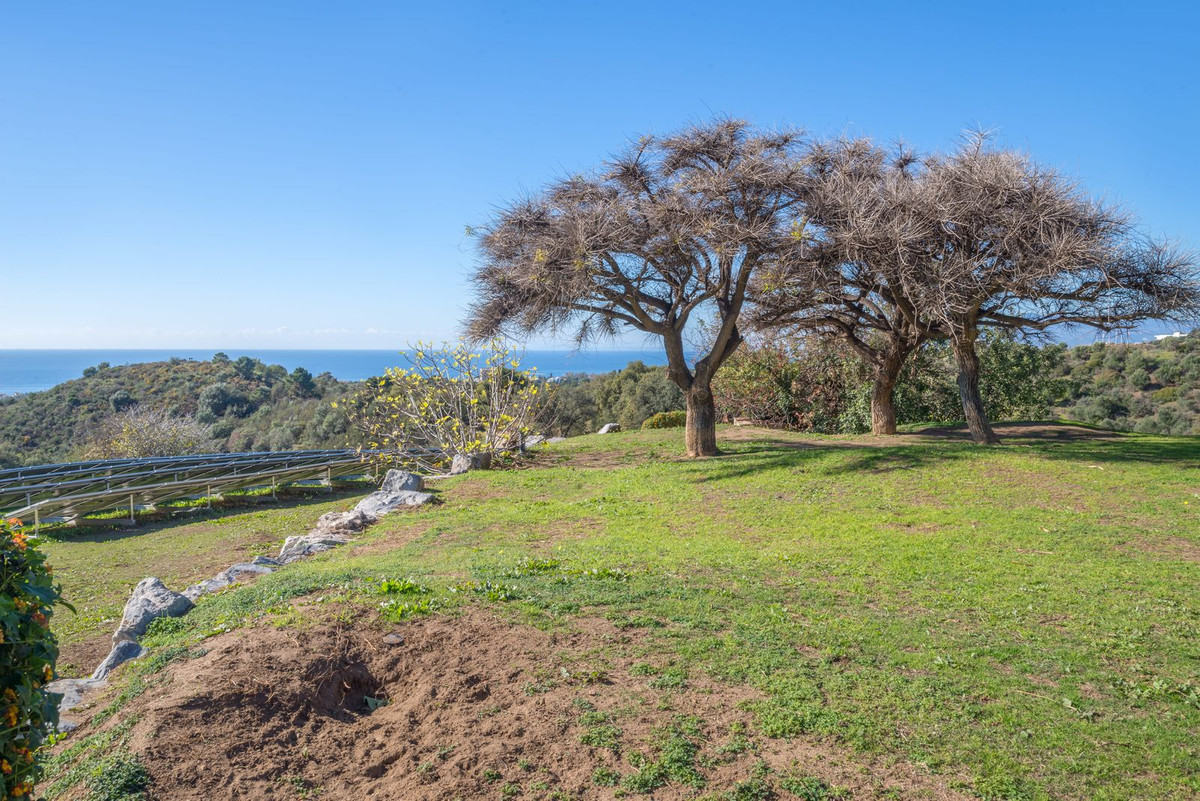 Property main view 12