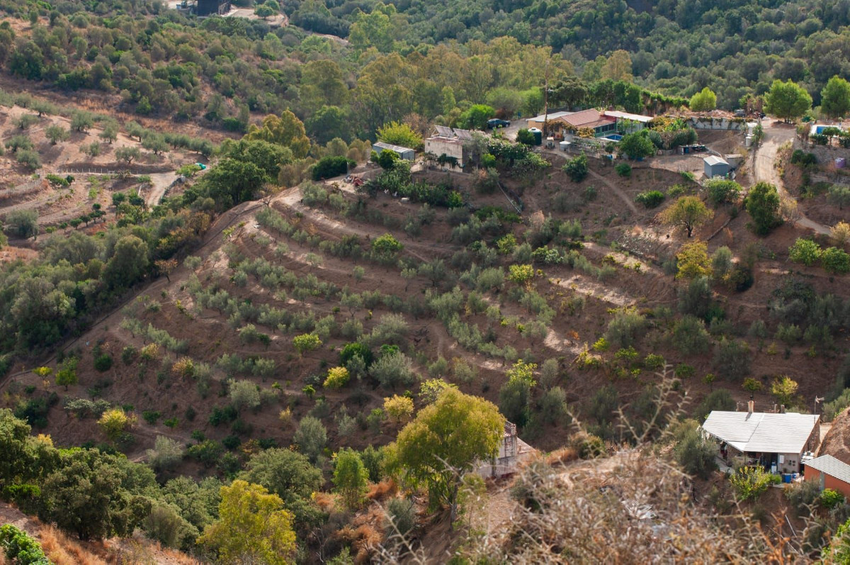 Property main view 20