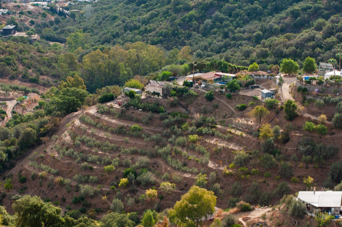 Property main view 21