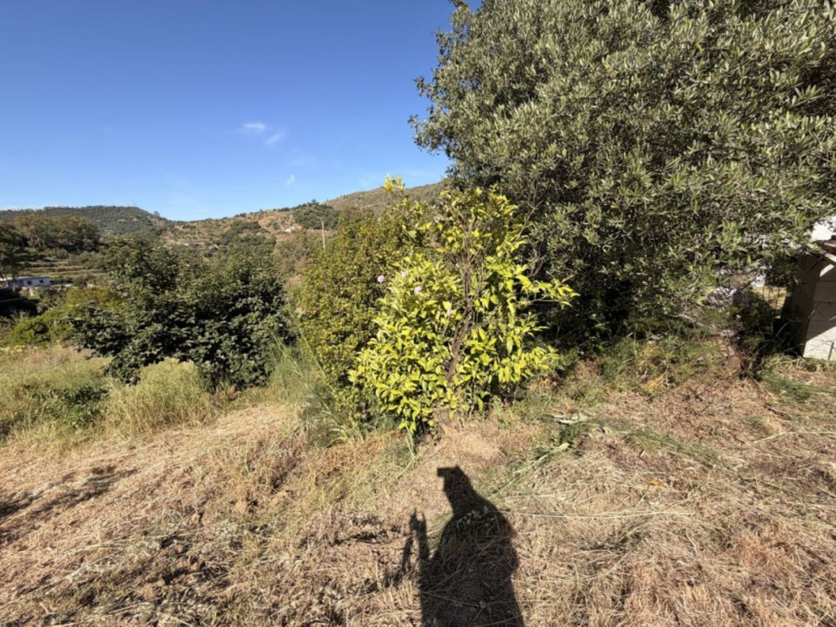 Property main view 3