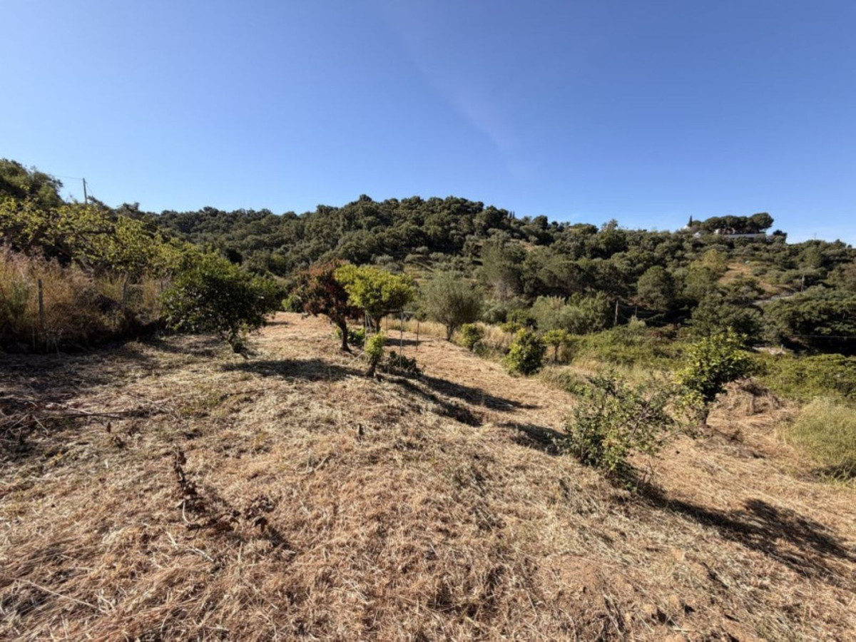Property main view 4