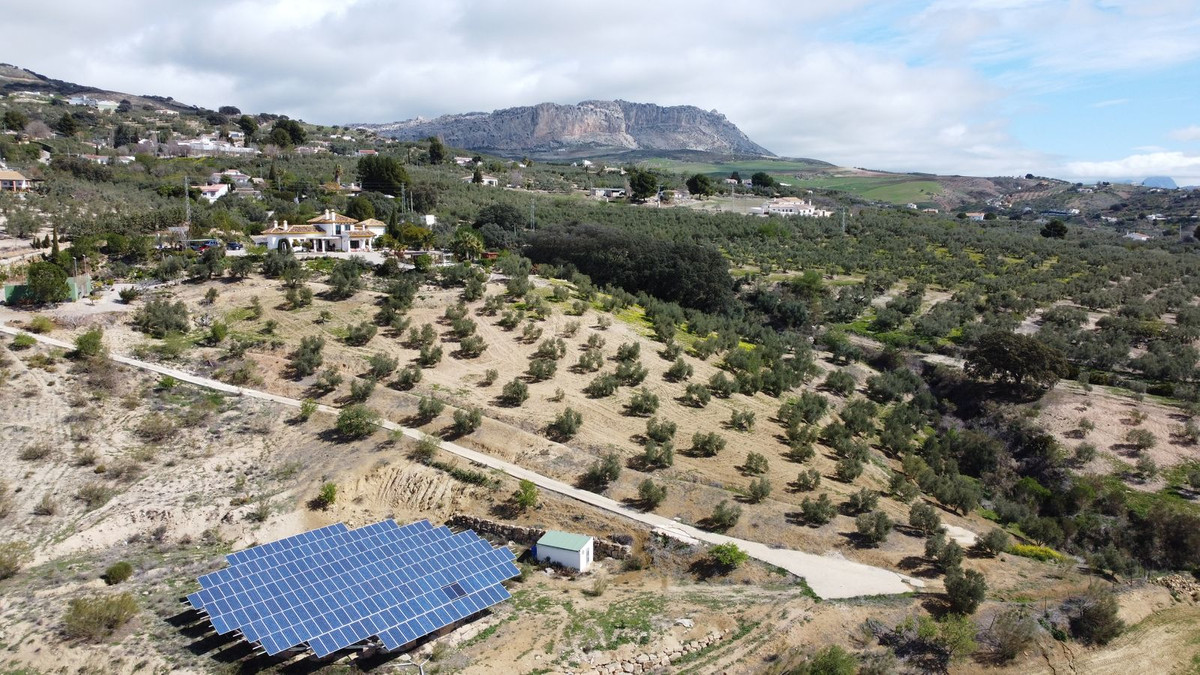 Finca - Cortijo in Antequera-3