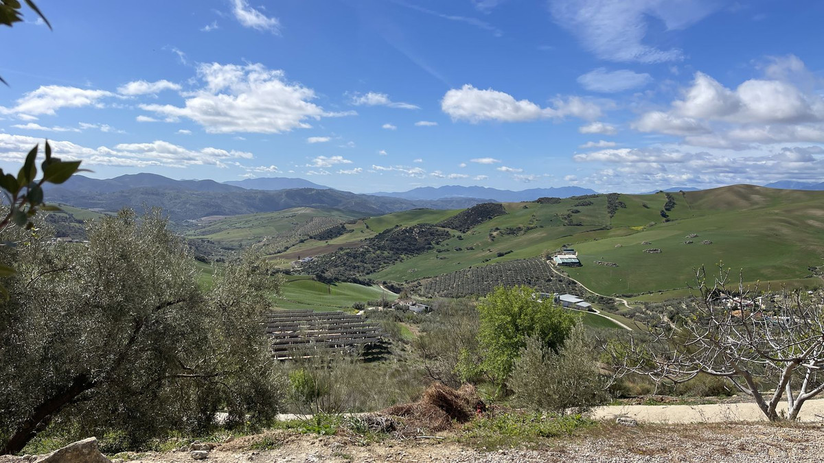 Finca - Cortijo in Antequera-46