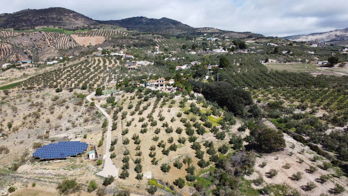 Finca - Cortijo in Antequera-5