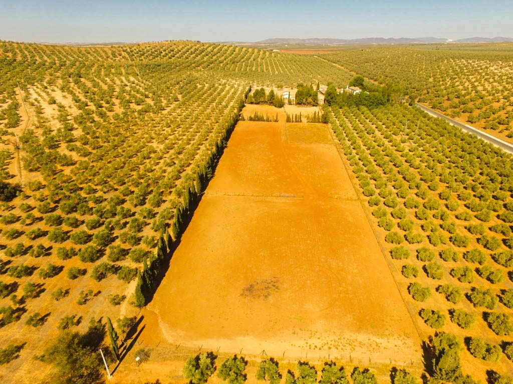 Finca - Cortijo in Antequera-4