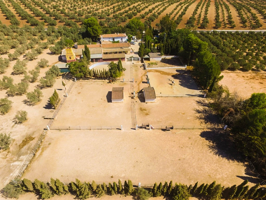 Finca - Cortijo in Antequera-7