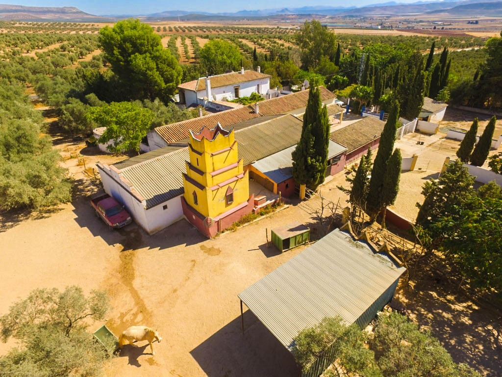 Finca - Cortijo in Antequera-8