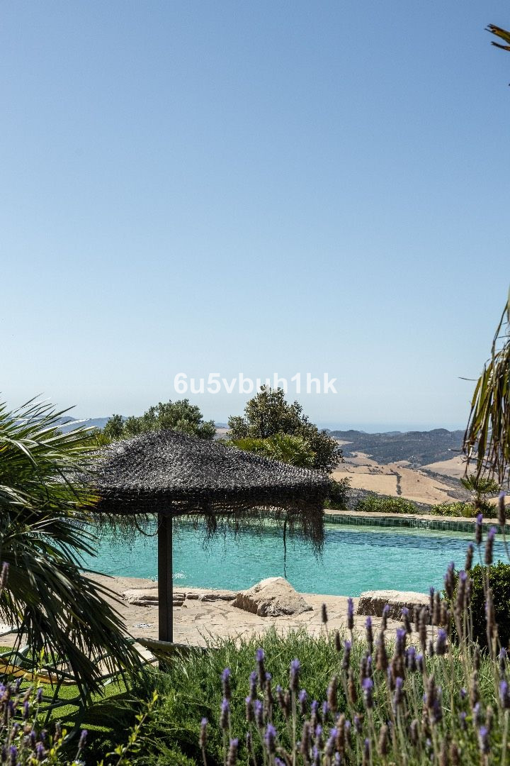 Property main view 34