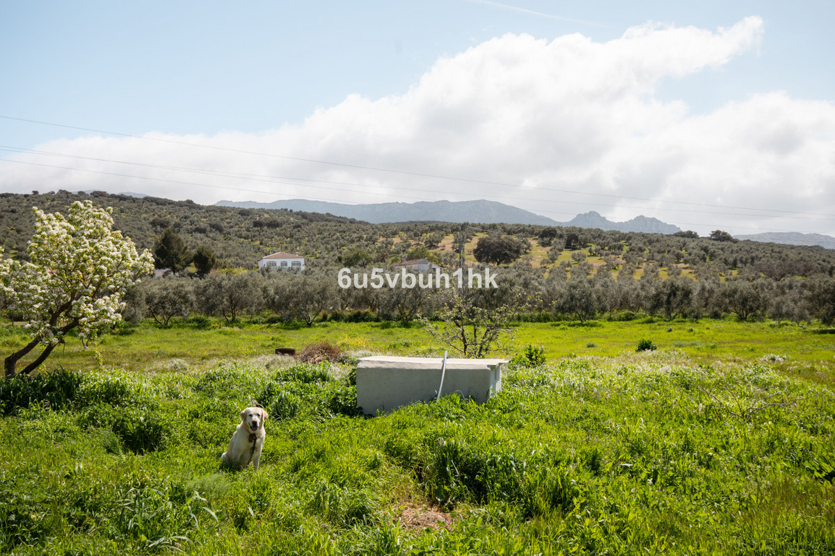 Property main view 16