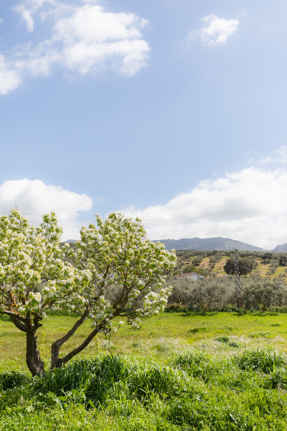 Property main view 17