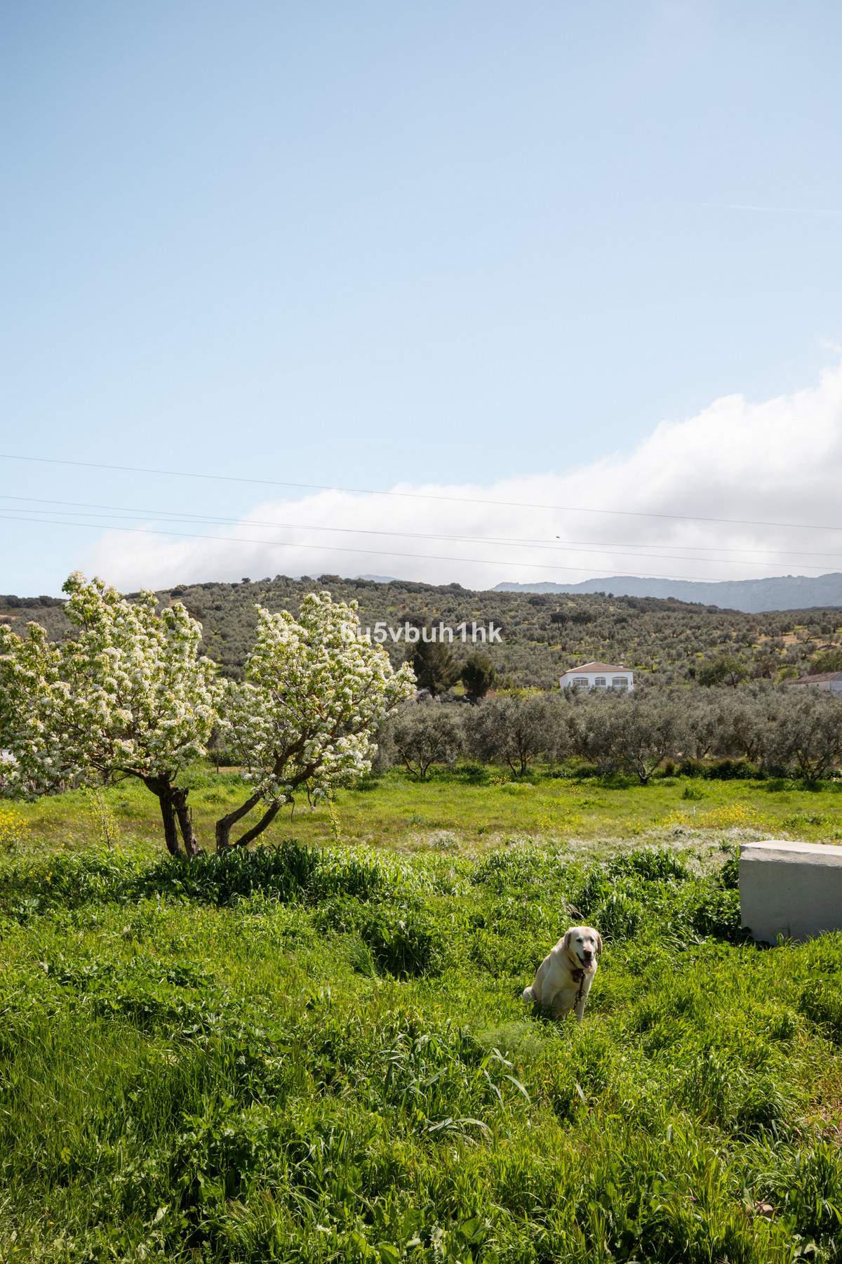 Property main view 19