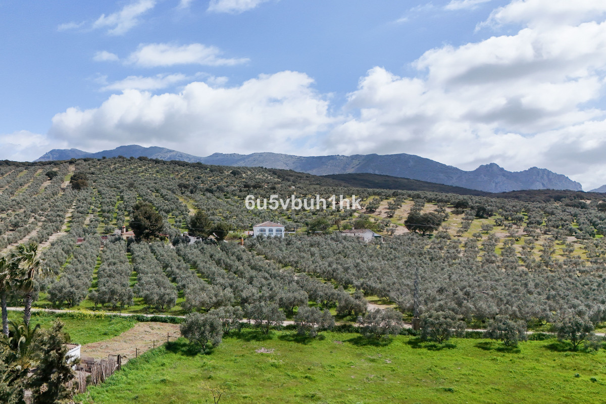 Property main view 20