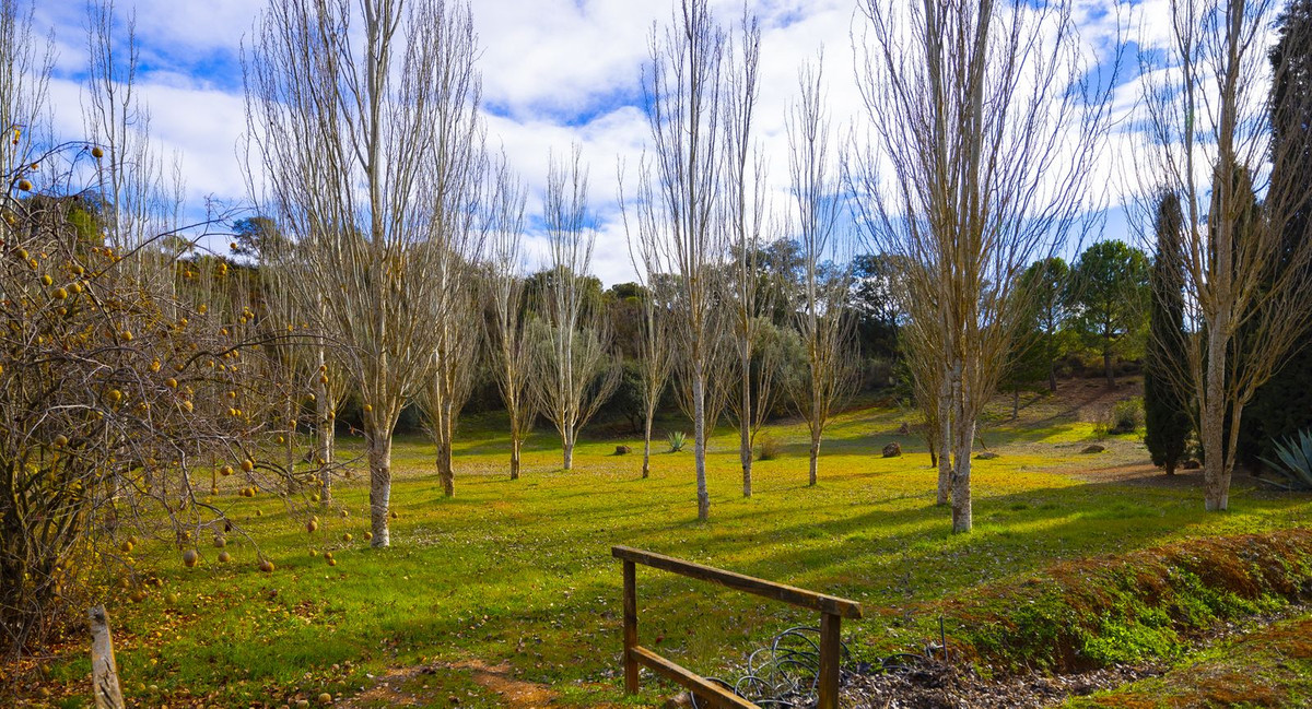 Finca - Cortijo in Archidona-12
