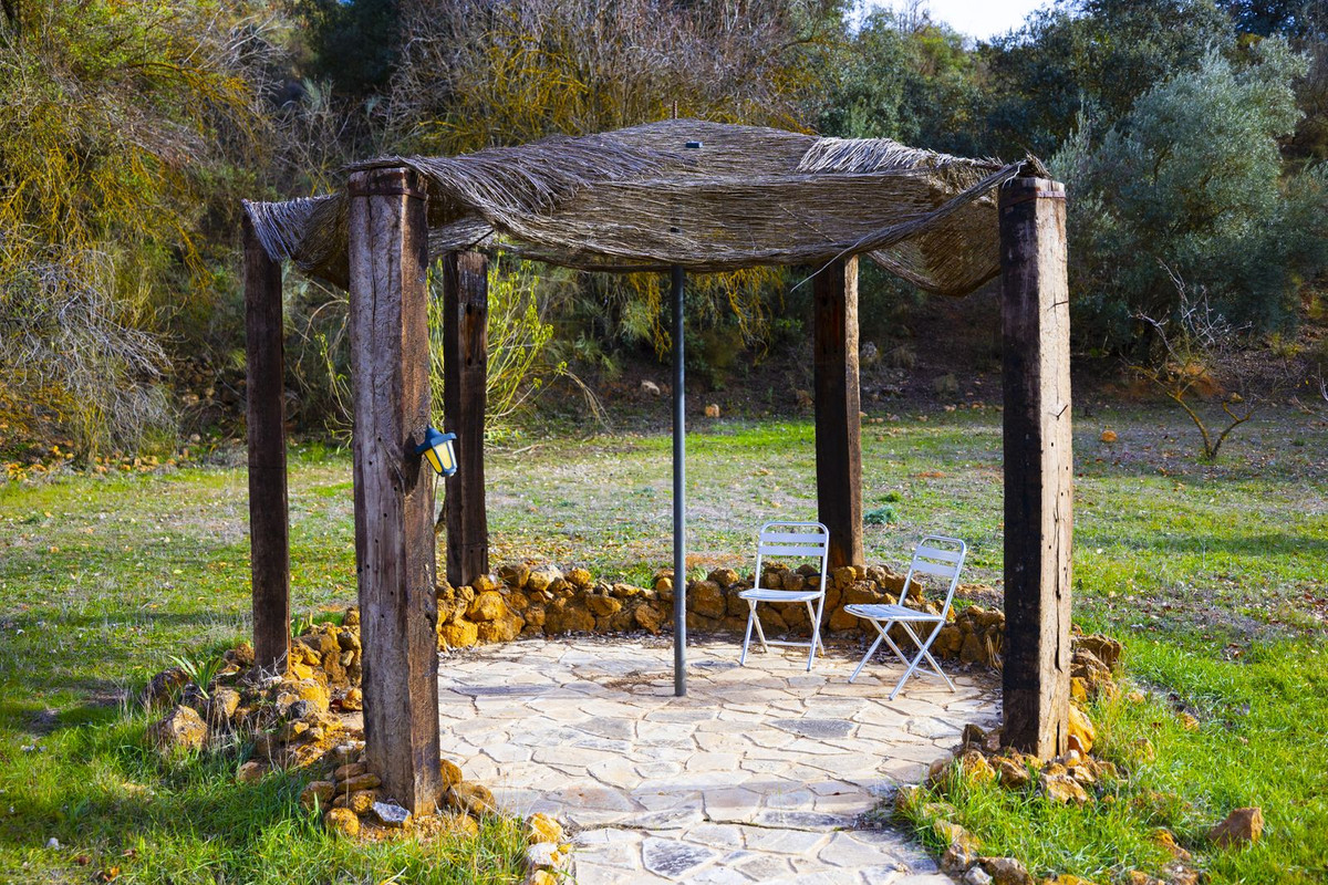 Finca - Cortijo in Archidona-14