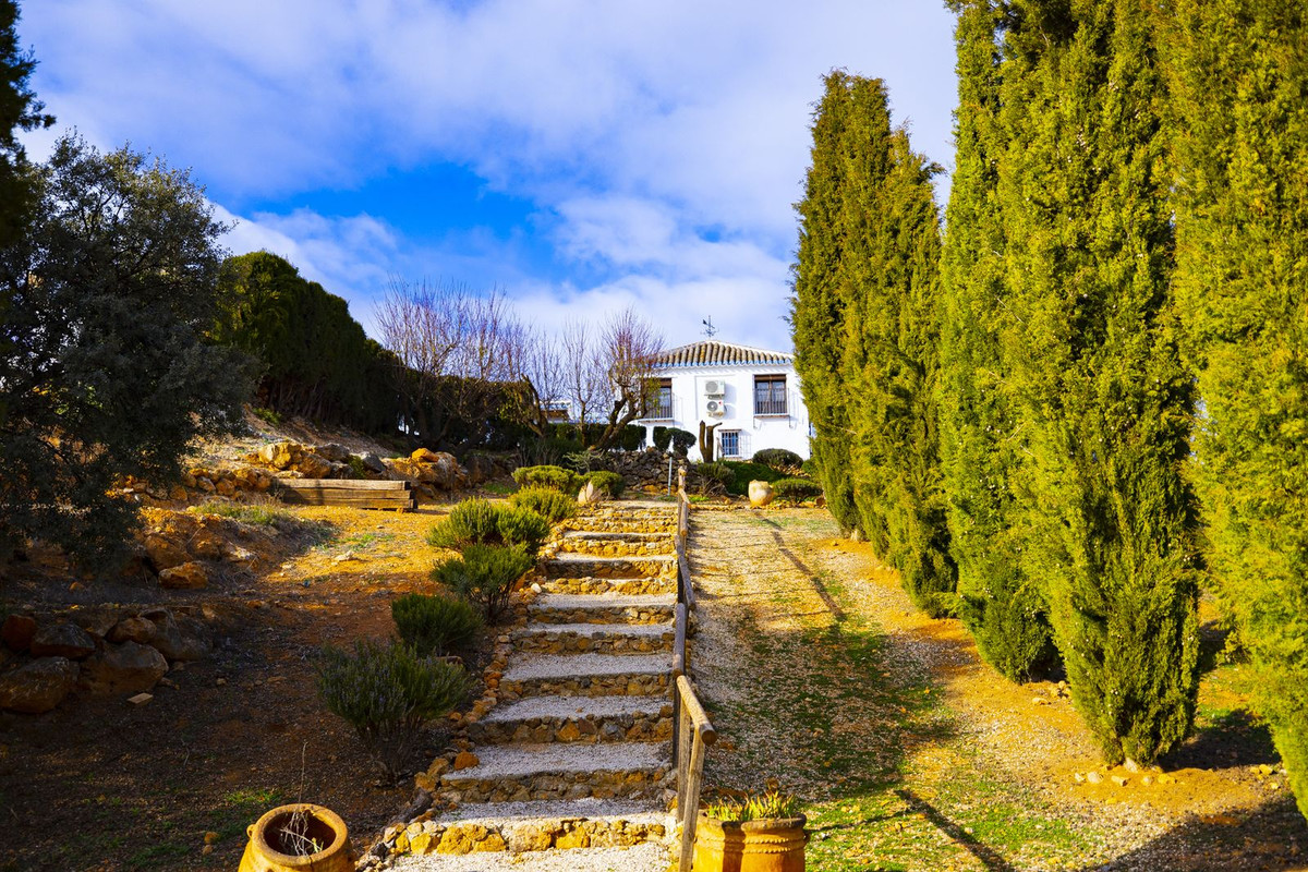 Finca - Cortijo in Archidona-15