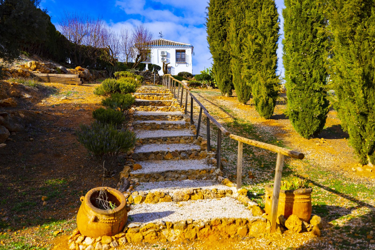 Finca - Cortijo in Archidona-16