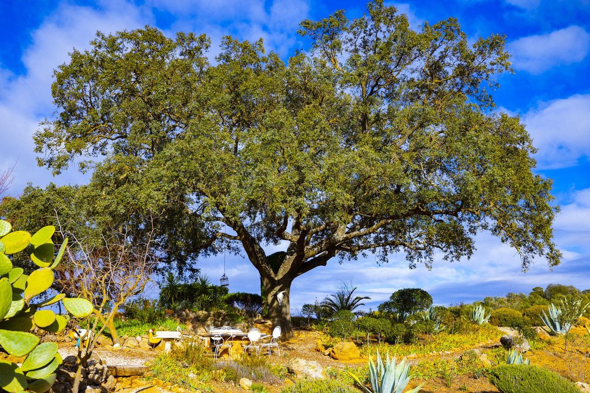 Finca - Cortijo in Archidona-17