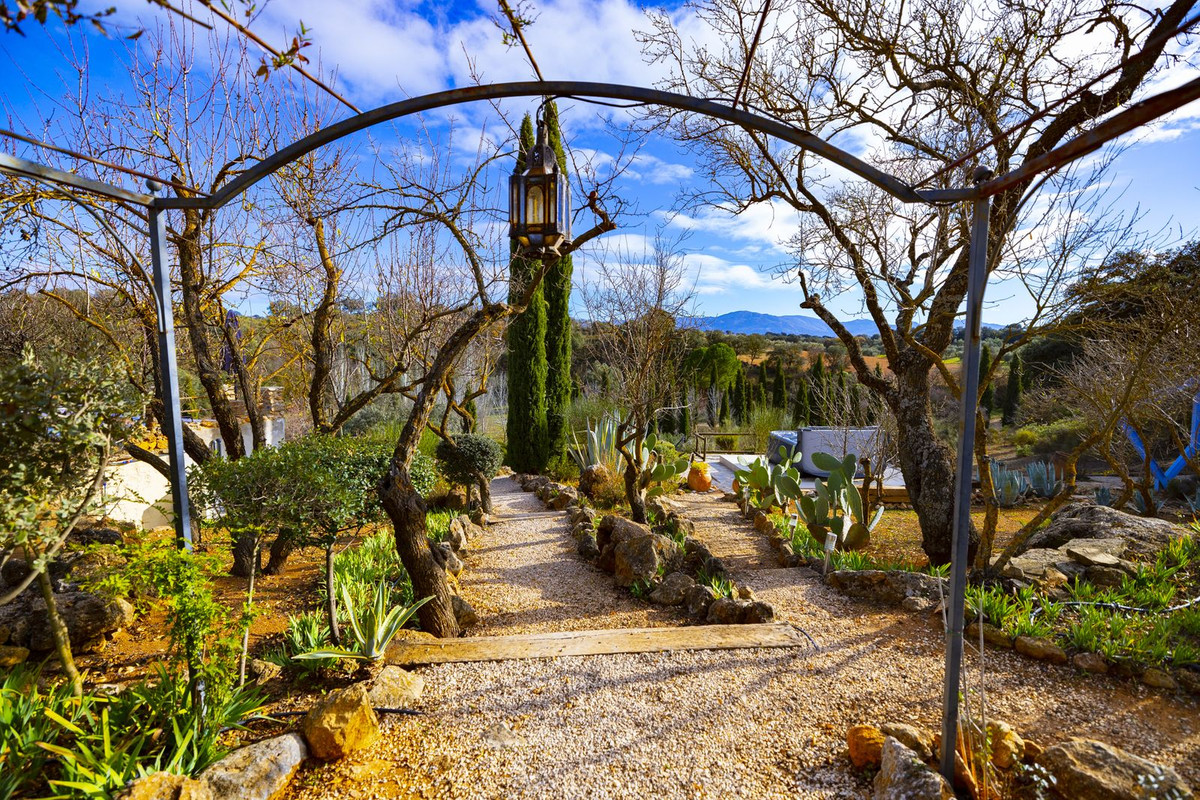 Finca - Cortijo in Archidona-18