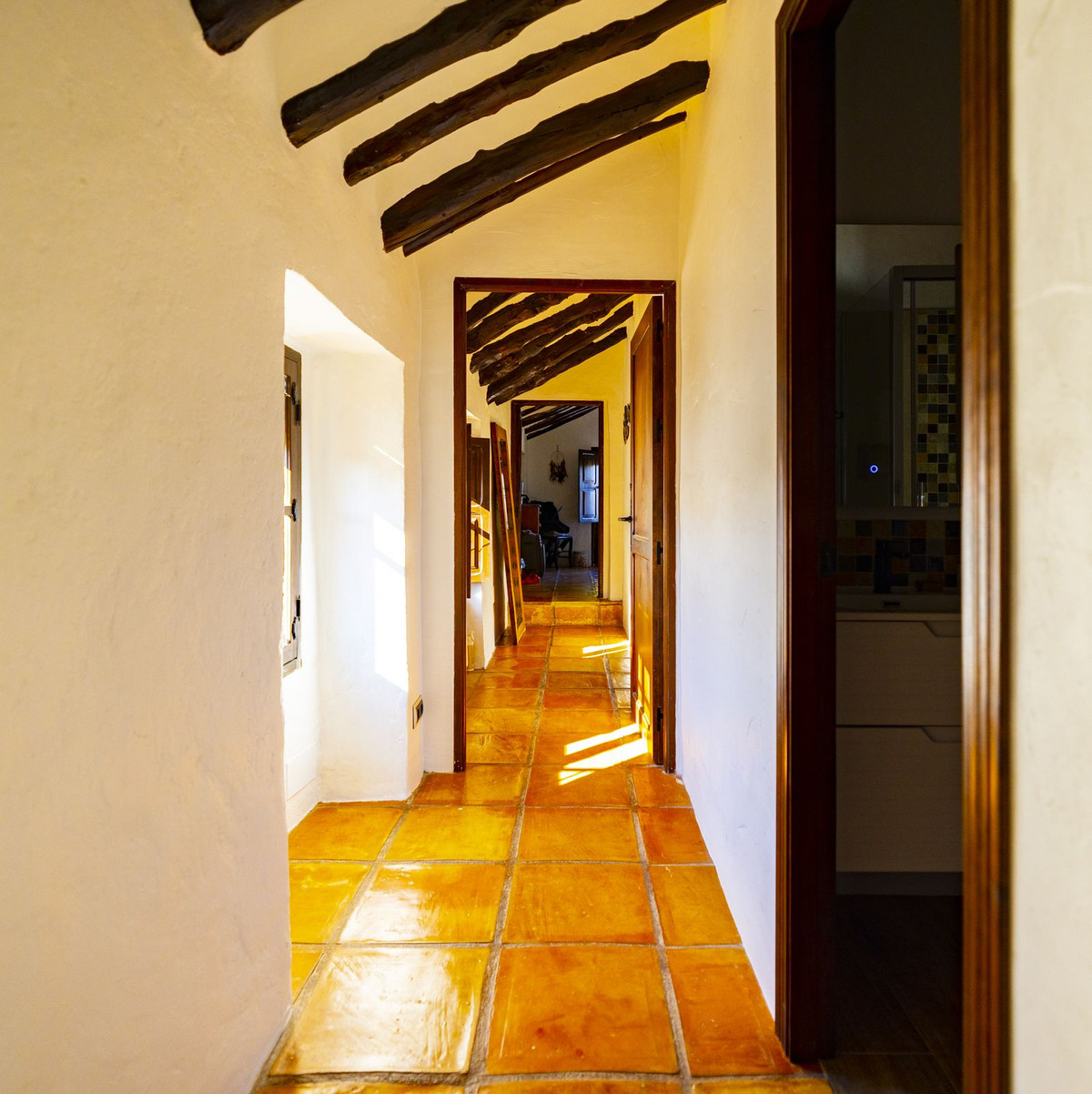 Finca - Cortijo in Archidona-39