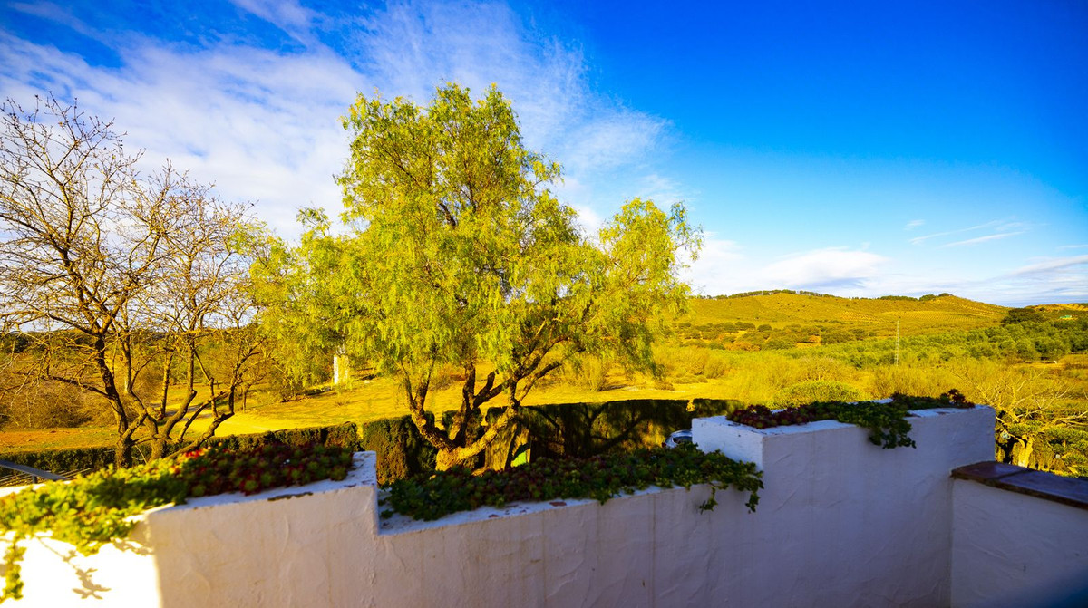 Finca - Cortijo in Archidona-45