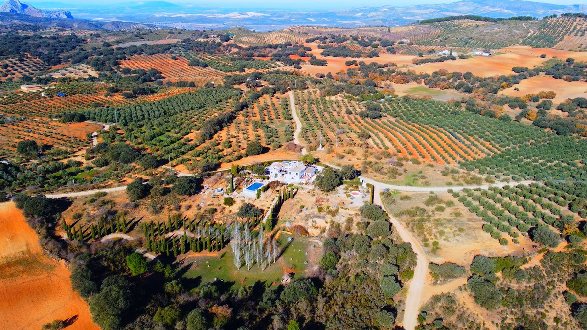 Finca - Cortijo in Archidona-5