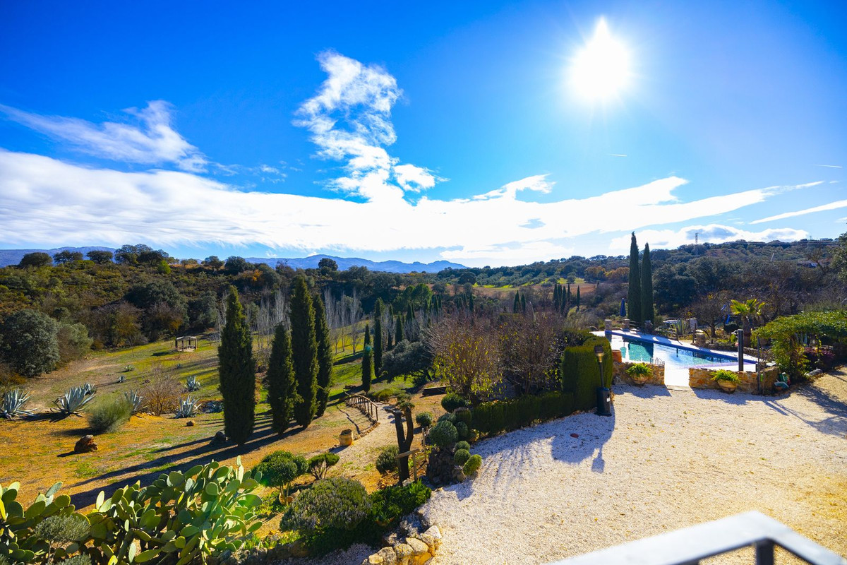 Finca - Cortijo in Archidona-6