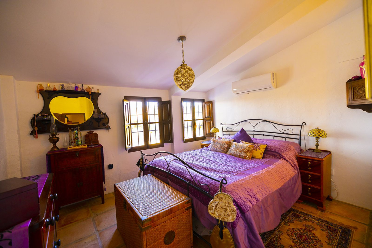 Finca - Cortijo in Archidona-62