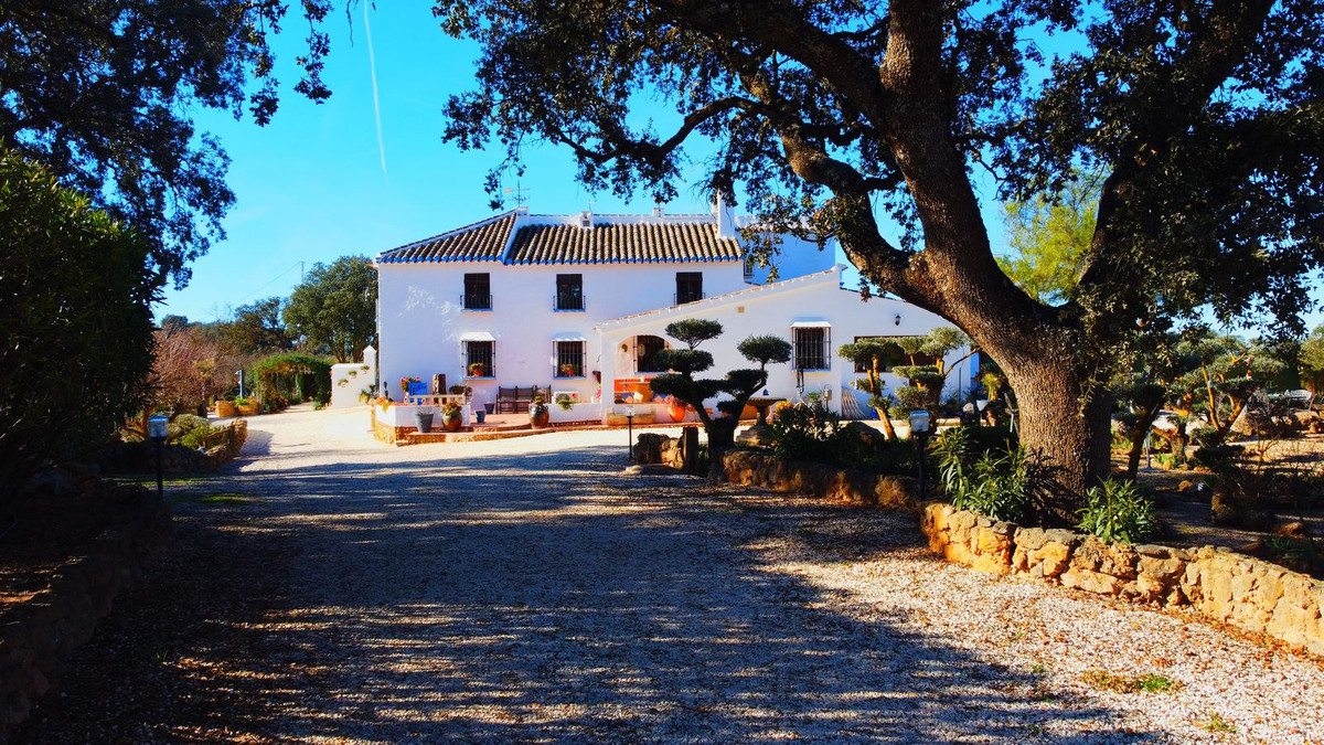 Finca - Cortijo in Archidona-8