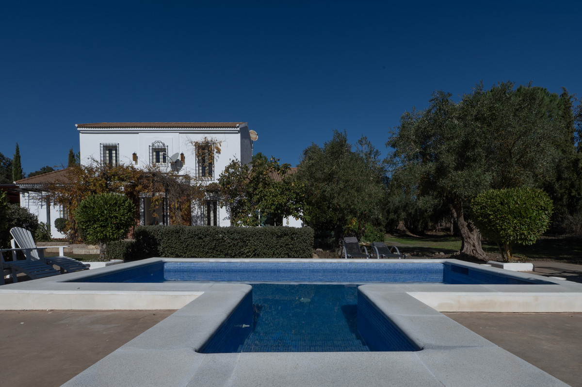 Property main view 40