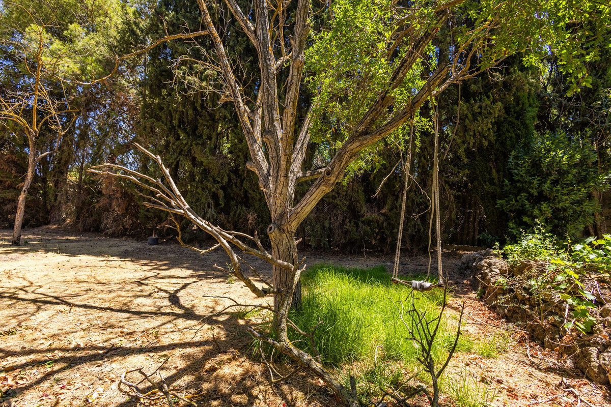 Property main view 47