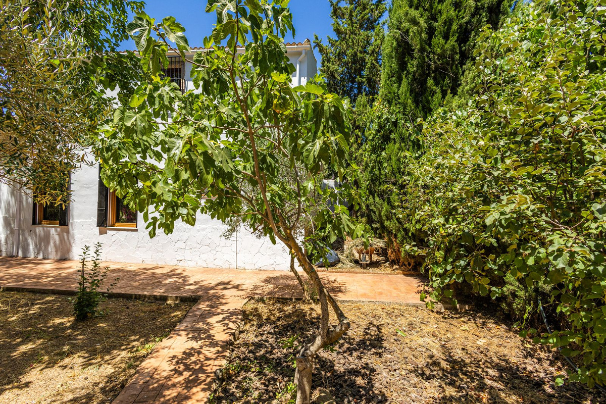 Property main view 50