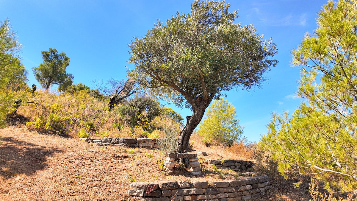 Finca - Cortijo te koop in Ardales | 2 slaapkamers H5160385